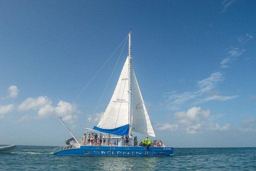 Dolphin Catamaran Snorkel and Sail with Open Bar 5
