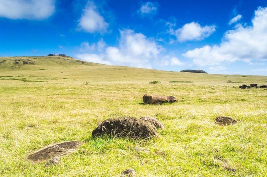 Un champ herbeux parsemé de gros rochers, avec une colline en arrière-plan, le tout sous un ciel bleu. 1