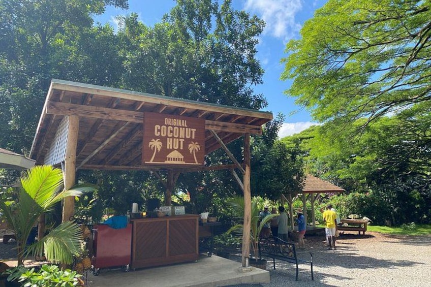 Una estructura de madera con un letrero que dice 'Original Coconut Hut', rodeada de exuberante vegetación y árboles. 4