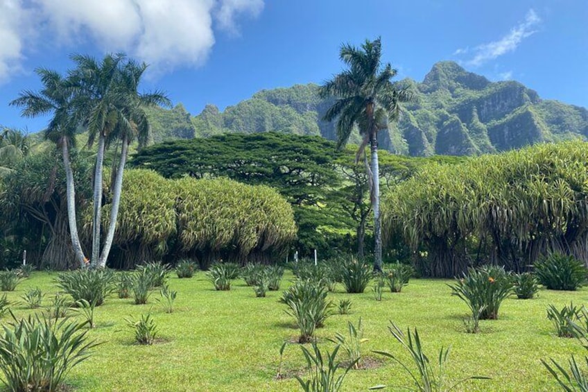 Diamond Head Hiking and Oahu Circle Island Tour feat. North Shore 4