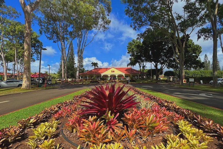 The Iconic Dole Plantation 2