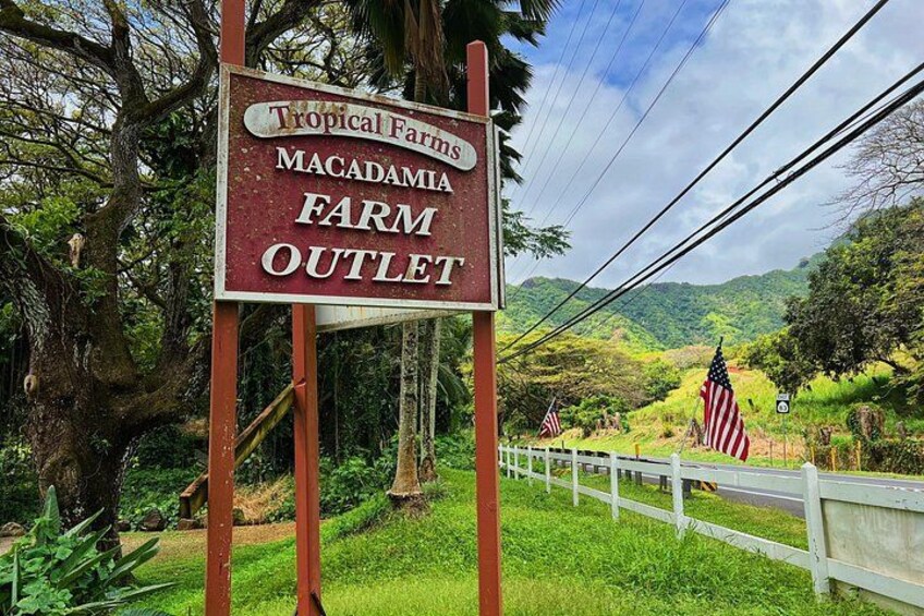 【Tropical Farms Macadamia Nut】
>Photo 03.2022 5