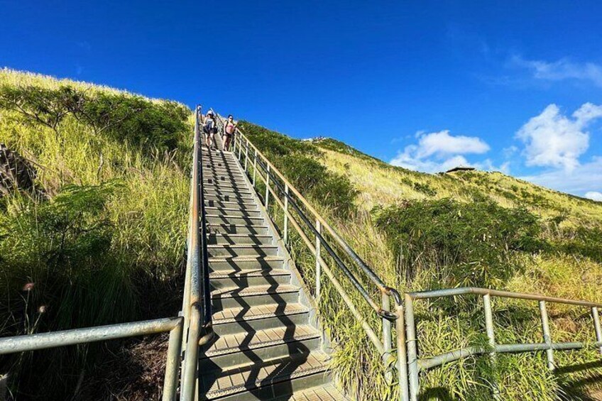 【Diamond Head】
 >Photo 02/2022 2