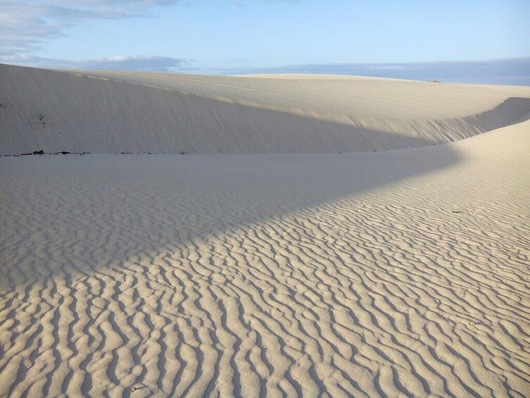 Guided tour to Fuerteventura