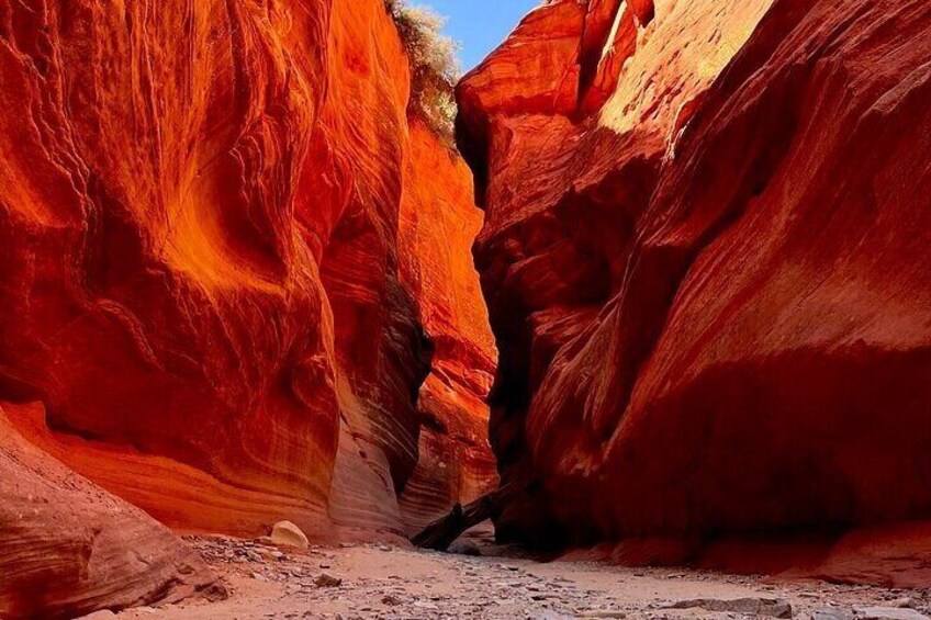 Peekaboo Slot Canyon UTV and Hiking Adventure (Private)