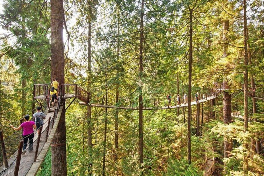 A suspension bridge in a forest with people walking on it. 1