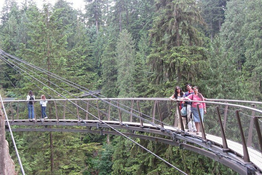 A suspension bridge in a forested area with people standing on it. 2
