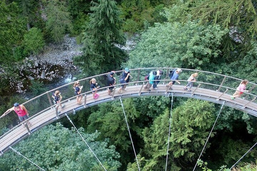 A suspension bridge in a forested area with people walking on it. 4