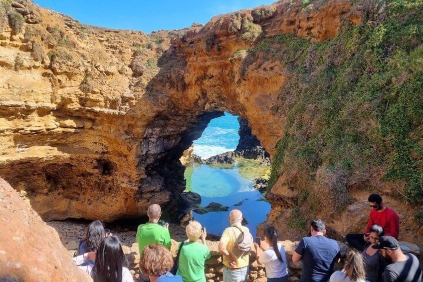 Twelve Apostles Express Private Tour from Melbourne 2