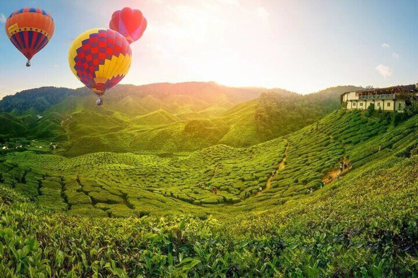 A lush green tea plantation with terraced hills and a building on a hilltop. 1