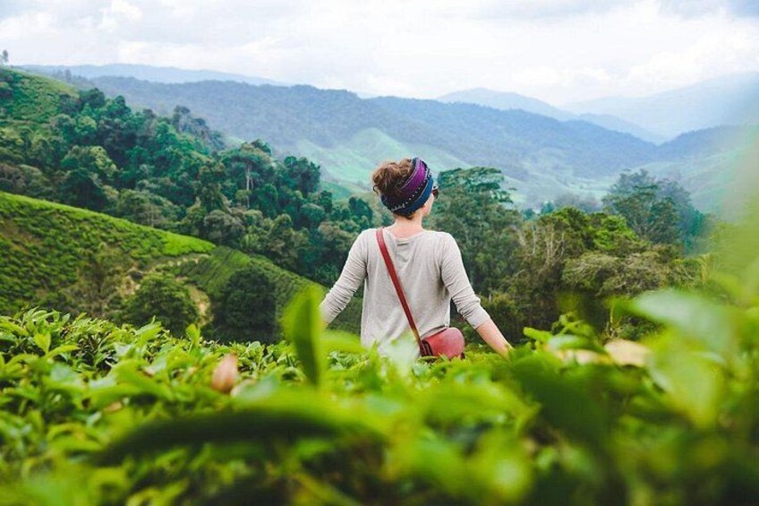 A person standing on a hill overlooking a lush green landscape with rolling hills in the distance. 2