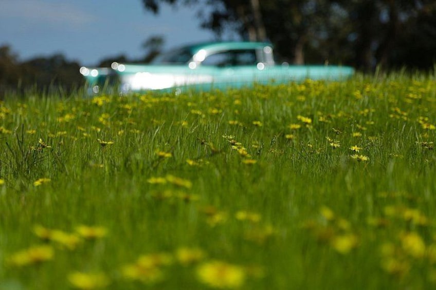 '56 Chevrolet 6-hr Yarra Valley Classic Car Private Tour (4 ppl) 3