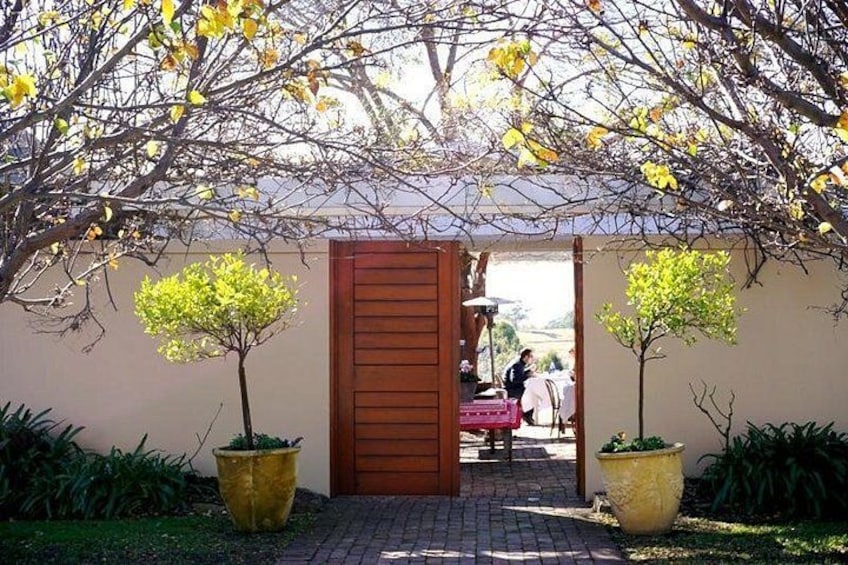 A wooden gate leading to a building, surrounded by potted plants and a tree with yellow leaves. 5
