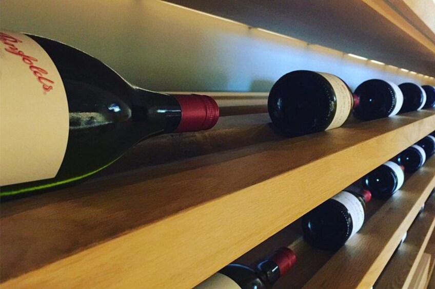 Penfolds in the Barossa Valley and Magill Estate 3