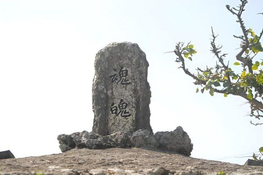 Okinawa Battlefields & Peace Memorial Tour, Licensed Guide 2