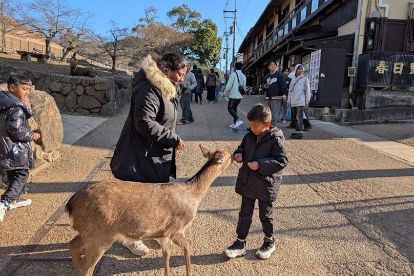 Nara Customized Private Tour in 1 Day with Licensed Guide 4