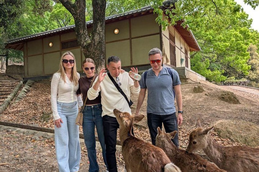 Nara Customized Private Tour in 1 Day with Licensed Guide 5