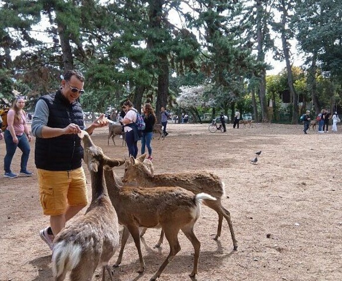 Nara Customized Private Tour in 1 Day with Licensed Guide 2