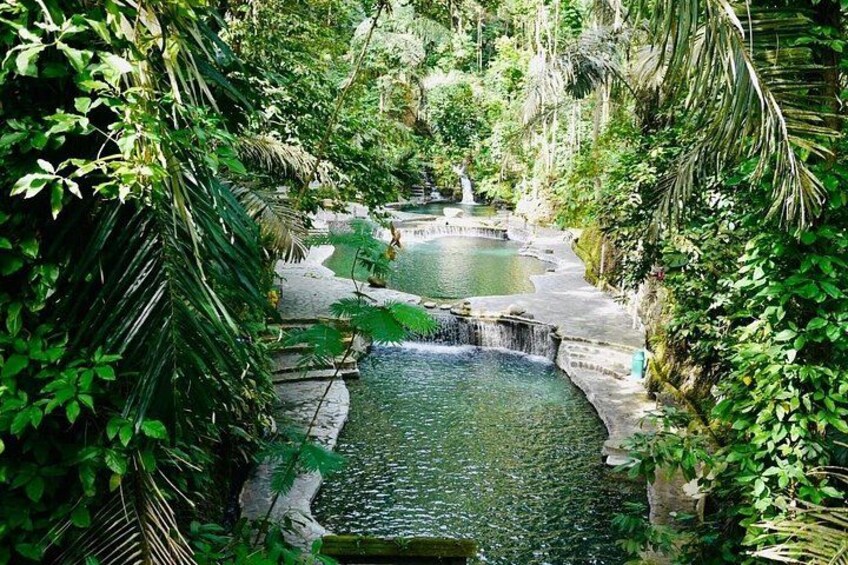 A natural water feature surrounded by lush greenery. 4