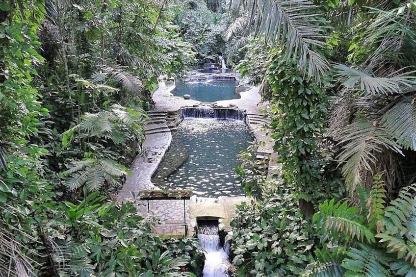 A waterfall cascading into a pond surrounded by dense foliage. 3