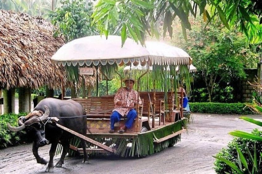 A man in traditional attire sitting in a thatched carriage pulled by an ox. 5