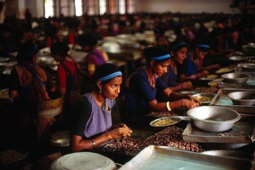 People working in a factory setting, handling and processing materials. 4