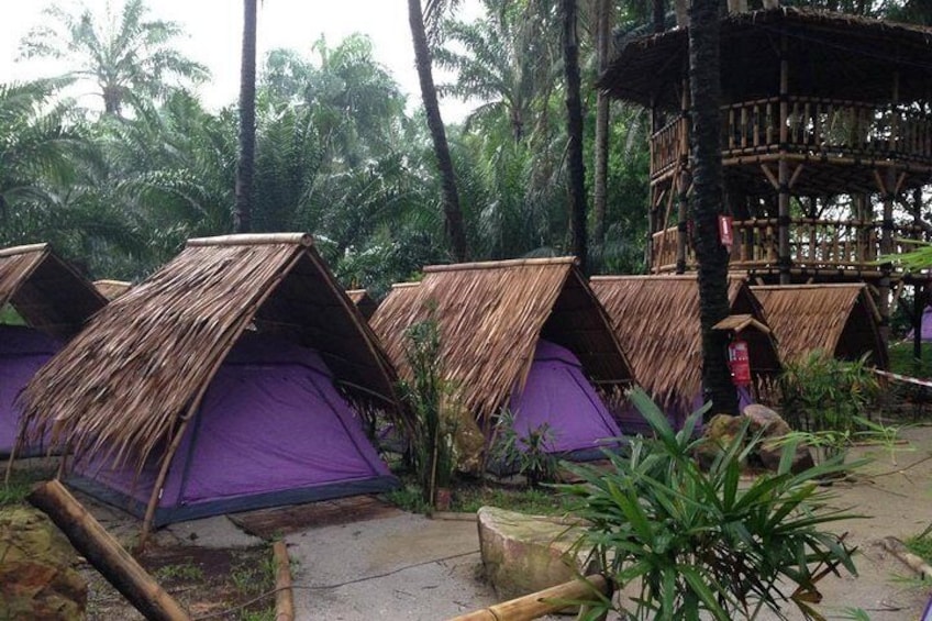 Thatched-roof huts with purple interiors, surrounded by palm trees and a wooden structure. 3