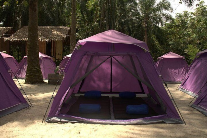 Purple tents set up in a sandy area with palm trees in the background. 5