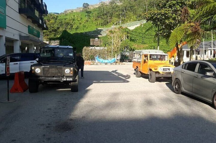 Cameron Highland Private Day Tour 5
