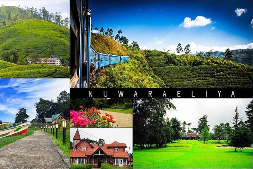 Kandy to Nuwara Eliya Day Trip – Little England & Tea Country 1
