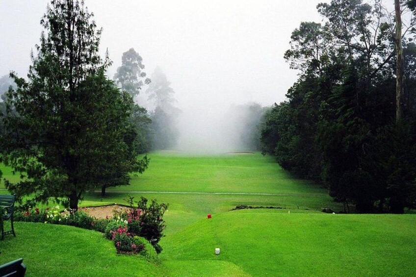 Kandy to Nuwara Eliya Day Trip – Little England & Tea Country 5