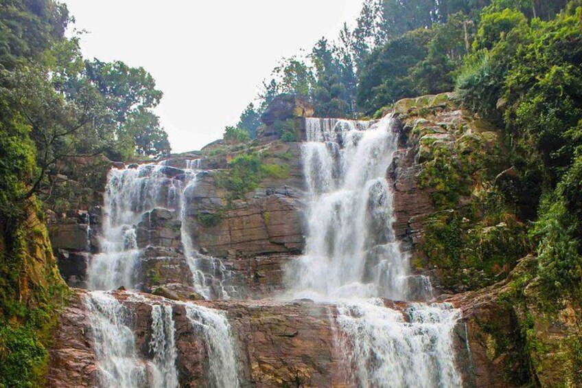Kandy to Nuwara Eliya Day Trip – Little England & Tea Country 3