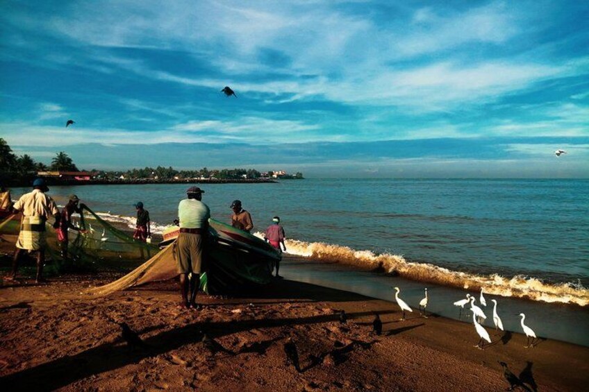 Une plage où l’on voit des gens pêcher, un bateau et des mouettes. 3