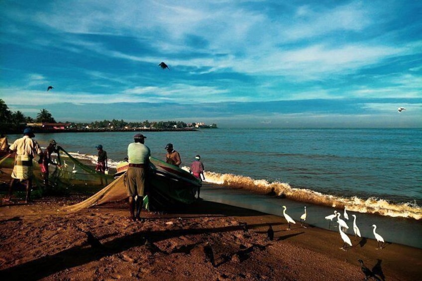 Une plage où l’on voit des gens pêcher, un bateau et des mouettes. 3