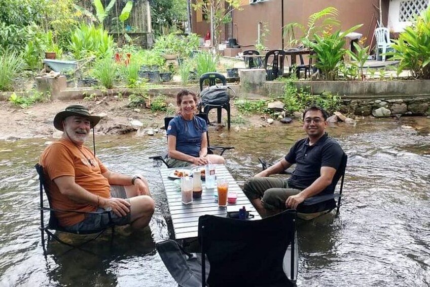Discover Langkawi Like a local Include Mangrove Tours 3