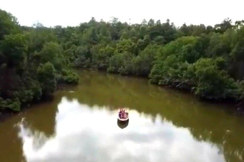 A river surrounded by dense forest. 1