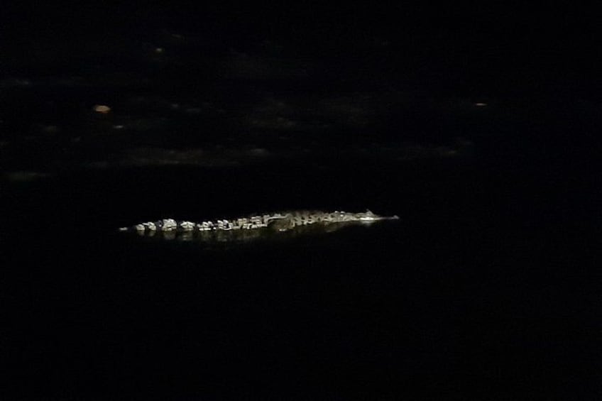 Une vue nocturne d’une ville côtière, avec des bâtiments illuminés et une côte bien visible. 3