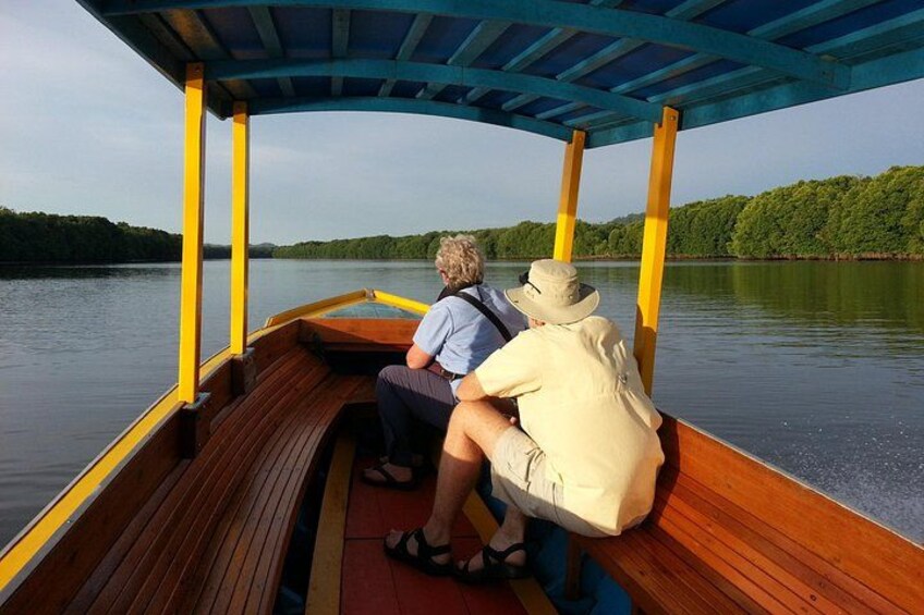 Private Proboscis Monkey and Firefly Tour 2