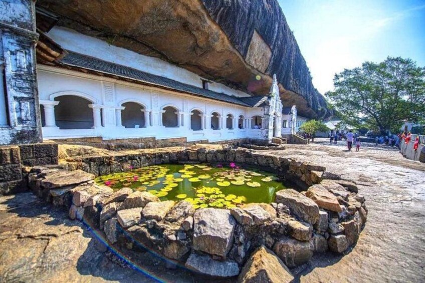 Sigiriya Rock and Dambulla Cave Temple Day Tour 4