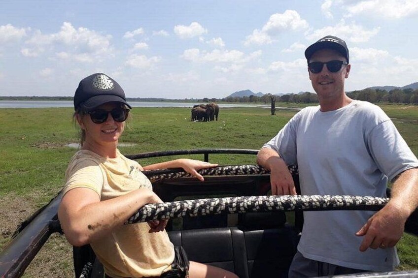 A person steering a vehicle with a grassy field and elephants in the background. 3