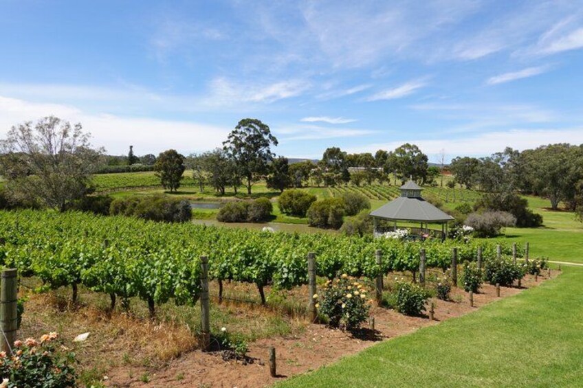 Swan Valley Private Tour 1