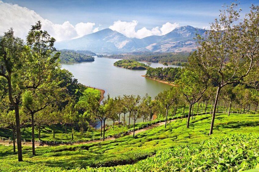 Trekking tour of Kerala 3