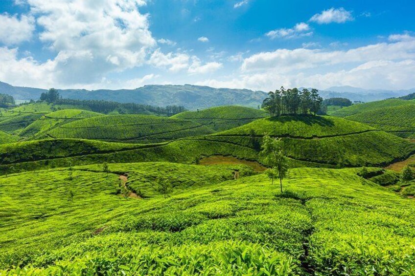 Trekking tour of Kerala 4