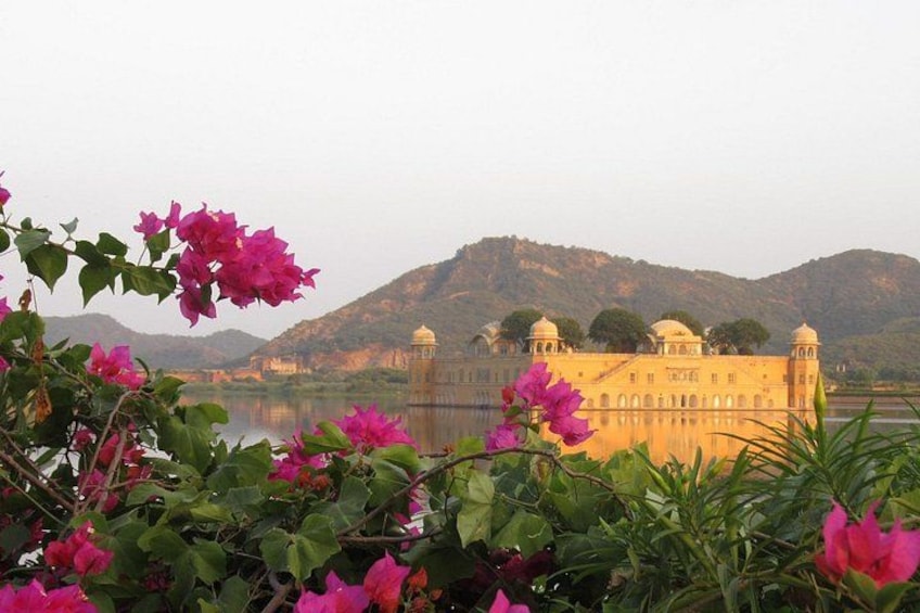 Jal Mahal, Jaipur 2