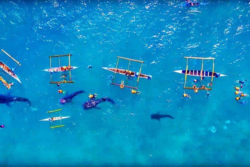 A group of people on paddleboards in a blue body of water. 3