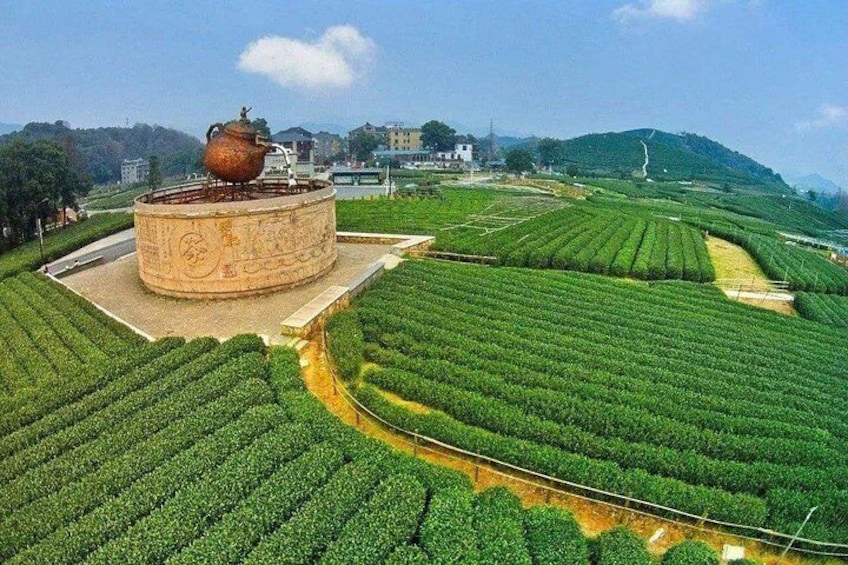 Hangzhou Tea Palantation 3