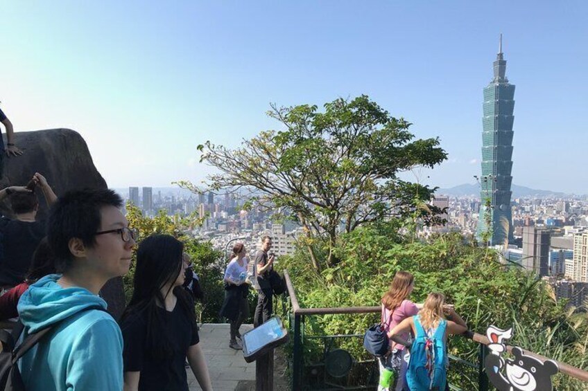 Elephant Mountain Trail