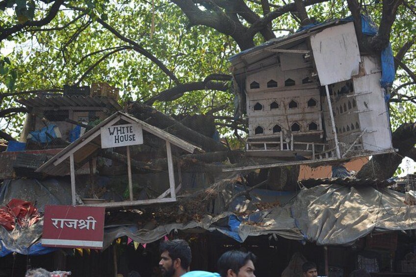 Private Full-Day Mumbai Sightseeing Tour with Dharavi Slums 2