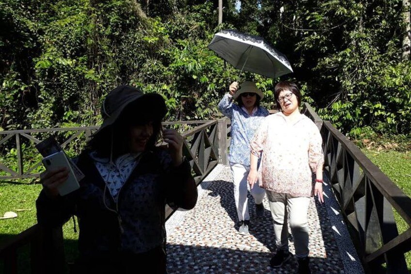 A wooden bridge with people walking on it. 4