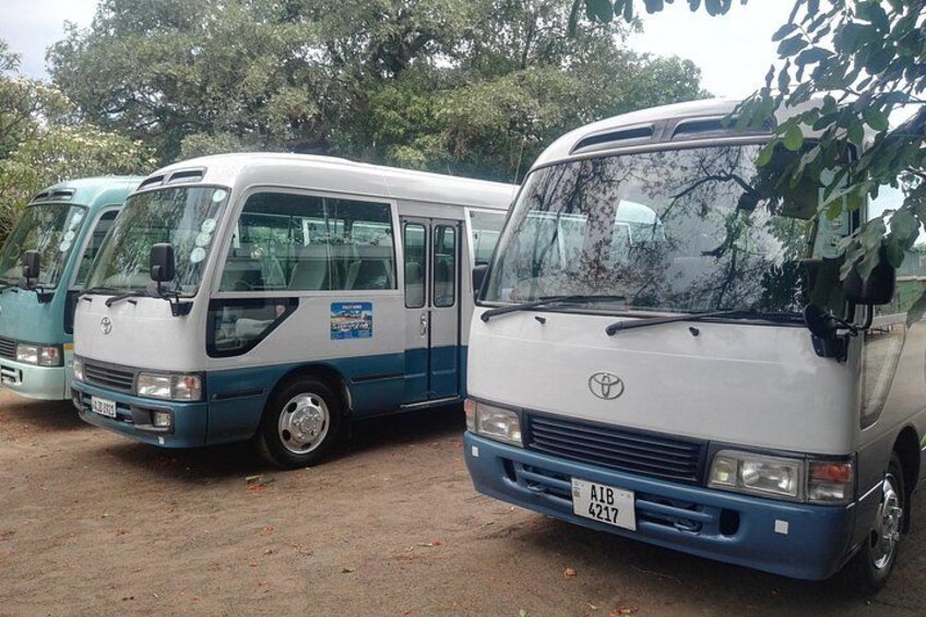 Three white and blue buses parked on a dirt surface with trees in the background. 2